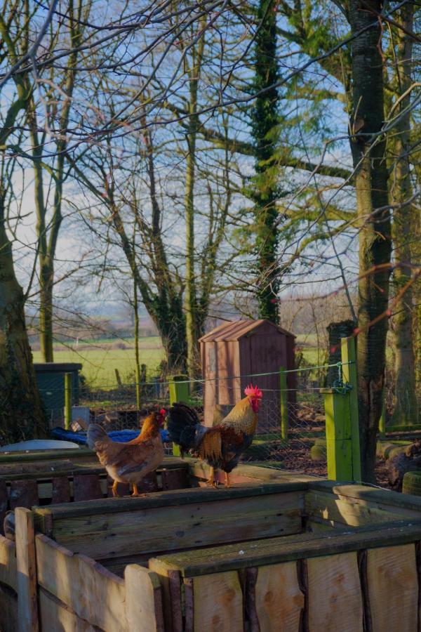 Meadow Barn Βίλα Χέρεφορντ Εξωτερικό φωτογραφία